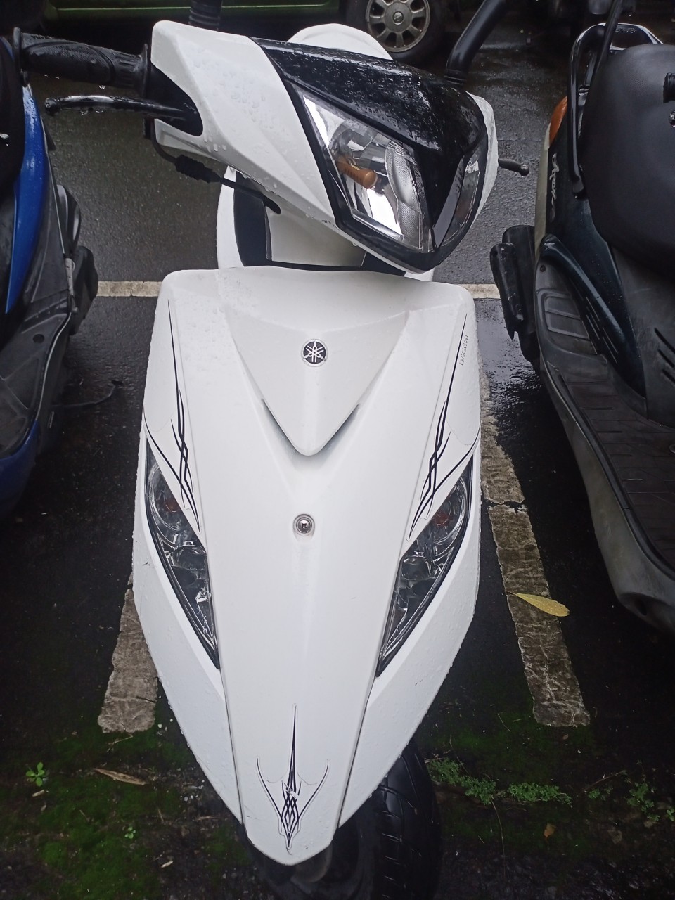 機車借款-590星宇當舖提供新北市機車借款,三重當舖,三重機車借款,蘆洲機車借款,大同區機車借款,台北市機車借款,新莊機車借款,中山區機車借款,樹林機車借款,板橋機車借款,大同區機車借款,機車借錢,機車典當,大同區汽機車當鋪,機車借錢免留車,機車借款,大同區機車借錢,新北市汽車借款,新北市汽機車借款,新北市汽機車借錢,新北市汽機車當鋪,新北市機車借款,大同區機車借錢,蘆洲機車借款,台北機車借錢,大同區機車借錢免留車,機車借款,機車借錢95